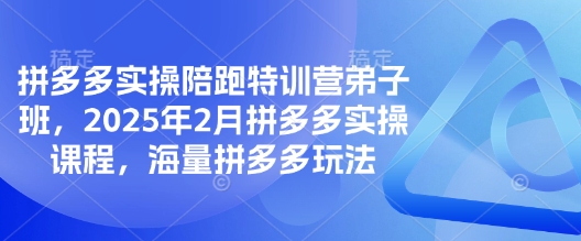 拼多多实操陪跑特训营弟子班，2025年2月拼多多实操课程，海量拼多多玩法-多木